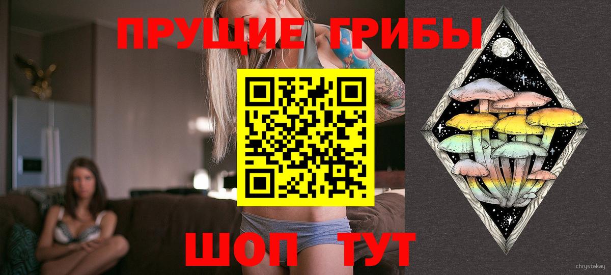 Галлюциногенные грибы Cubensis Нальчик