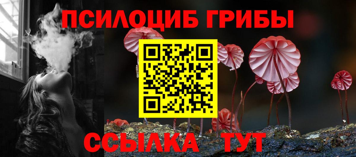 Галлюциногенные грибы мухоморы  Вход с VPN  Нальчик  Псилоцибиновые грибы прущие грибы 